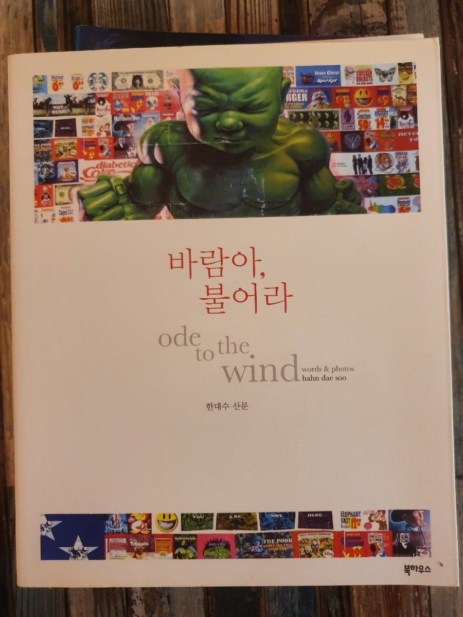 〈바람아, 불어라〉
